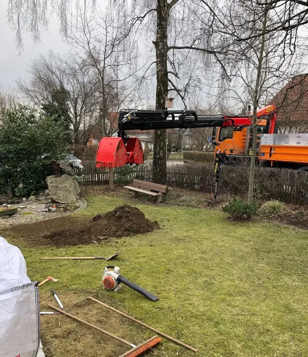 Baumschnitt & Baumpflege für einen gesunden Baum - baumschnitt baumpflege 05 Baumschnitt und Baumpflege für einen gesunden Baum.