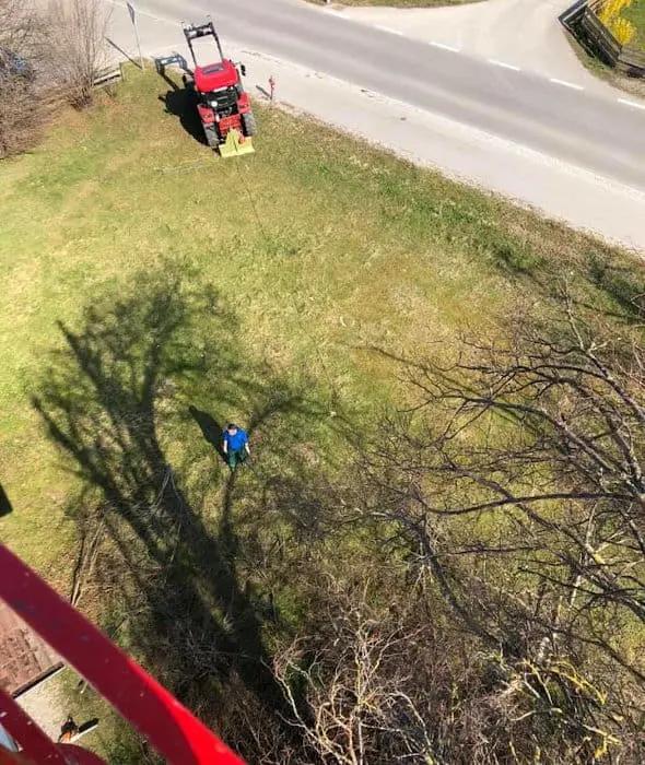 Baumschnitt & Baumpflege für einen gesunden Baum - baumschnitt baumpflege 06 Baumschnitt und Baumpflege für einen gesunden Baum.