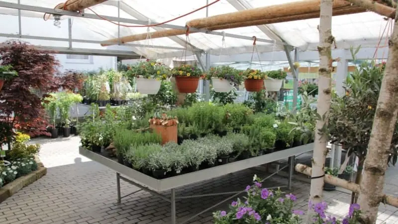 Gärtnerei im Wandel der Zeit - gaertnerei schorer 02 Die Gärtnerei Schorer im Wandel der Zeit