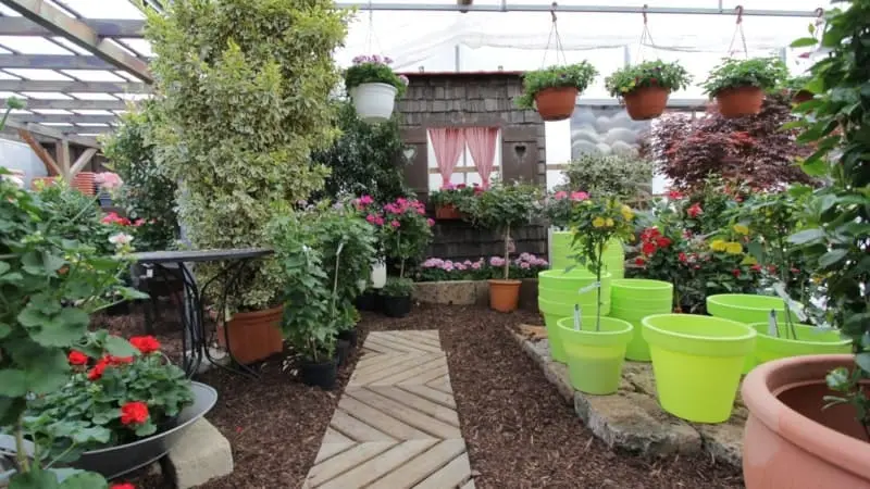 Gärtnerei im Wandel der Zeit - gaertnerei schorer 05 Die Gärtnerei Schorer im Wandel der Zeit