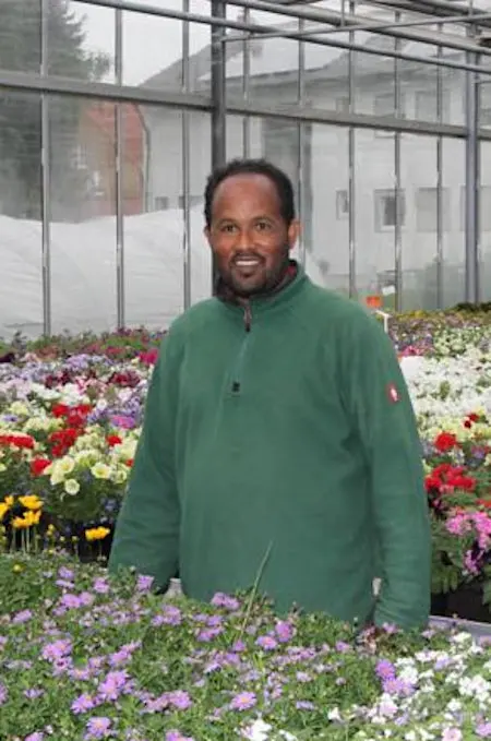 Gärtnerei im Wandel der Zeit - habtom mehari Gärtnerei im Wandel der Zeit - habtom mehari