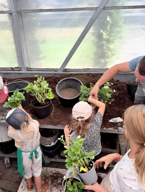 Kindergärtnerei 2026 - 2026 kindergartenbesuch 12 Kindergärtnerei 2026 - 2026 kindergartenbesuch 12